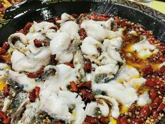 -金三可市井水煮鱼(金碧园店)