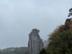 -九曲溪