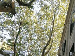 -Ray·Ban雷朋(淮海中路店)