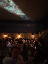 -翱翔飞越地平线