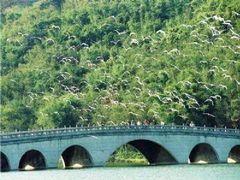 -李小龙乐园(顺德均安店)