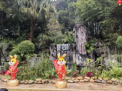 -广州市流溪河国家森林公园