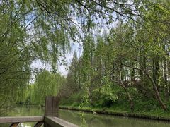 -同里国家湿地公园