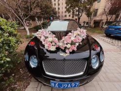 -蚂蚁婚车