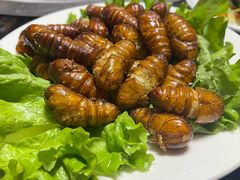 -牧民人家羊粪火自煮手把肉餐馆