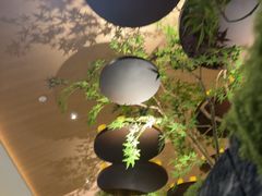 -赤火牛排(金狮广场店)
