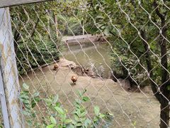 -沈阳鸟岛