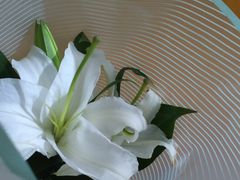 -雅茗轩茶馆·棋牌·茶艺(劳动路西缆店)