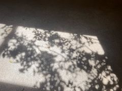 -马家大院