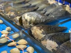 -宝轩渔府·老字号海鲜·正宗津菜(水上店)