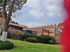 -上海野生动物园老虎餐厅