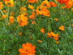 -福建鲤鱼洲酒店