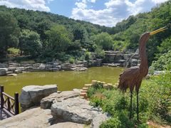 -北京西山国家森林公园