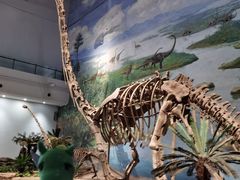 -自贡恐龙博物馆