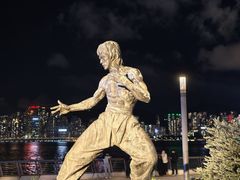-星光大道