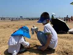 -日照海滨国家森林公园