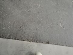 -悉尼歌剧院