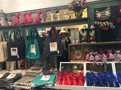 -猫咪博物馆(顶澳仔猫街店)