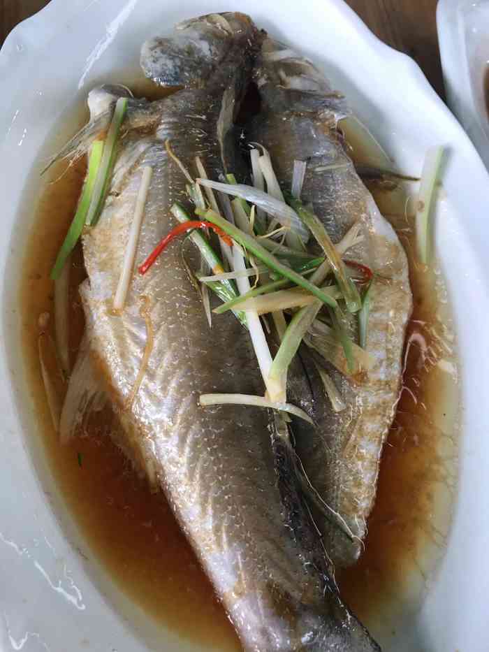 东海宴海鲜吧-"来黄岐玩晚上随便逛逛,这家在休闲广场旁边.