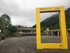 -天目山大树王景区