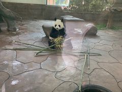 -宁波野生动物园