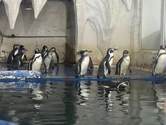 -太平洋海底世界