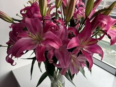 -循礼门鲜花花市(武汉循礼门店)