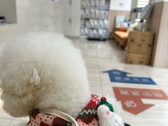 -申普宠物医院·眼科·心内科·影像科(普陀分院)
