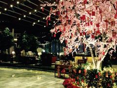 iphone_upload_pic-苏州金鸡湖中茵皇冠假日酒店