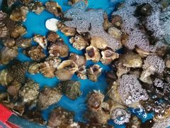 -聚德福海鲜家常菜(刘庄店)