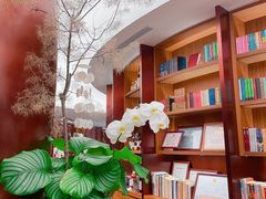 -二酉书店TOYOU BOOKS