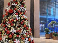 -北京朝阳悠唐皇冠假日酒店