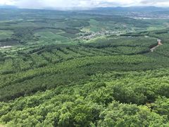 -帽儿山国家森林公园