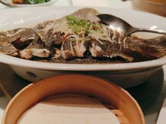 -北京老铺烤鸭(高新店)