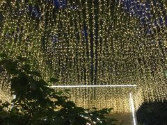 -绿地·中山里