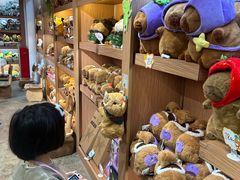 -正佳雨林生态植物园