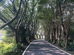 -李小龙乐园(顺德均安店)