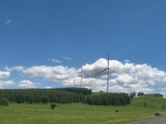 -御道口草原森林风景区