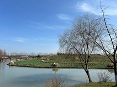 -乌村