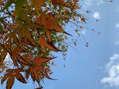 -梁鸿国家湿地公园