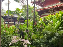 -新加坡佛牙寺龙华院