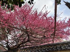 -达蓬山旅游度假区