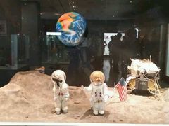 -济州岛泰迪熊博物馆