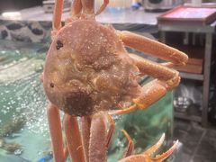 -築鳥日本料理(黑沙环店)