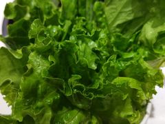 -古乐牛香·鲜牛肉牛杂火锅(新区店)