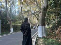 -灵谷景区