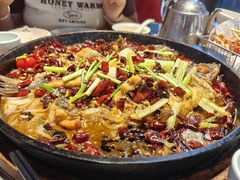 -老板恋上鱼(恒隆广场店)