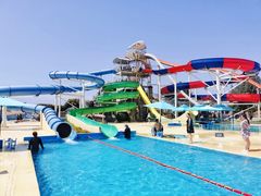 -秦皇岛乐岛海洋王国