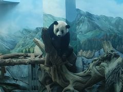 -武汉动物园
