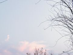 -武汉光谷K11